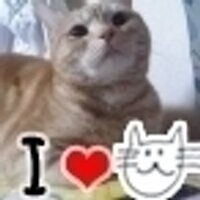 み~すけ♪(ฅ'ω'ฅ)♪ (@ricky_tyamu_noa) 's Twitter Profile