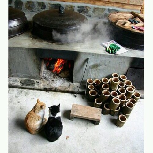 goeunyi's profile picture. 의미있는 질문이 의미있는 삶을 만든ㄷㅏ