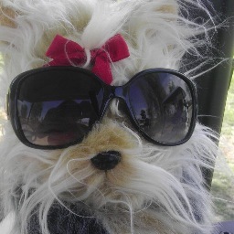 Married,4 kids,2 dogs,Christian,papercrafter,decorator,  traveller,reader,golfer,organizer. Love D.Coke &  buttery popcorn, humor & finding a great bargain.