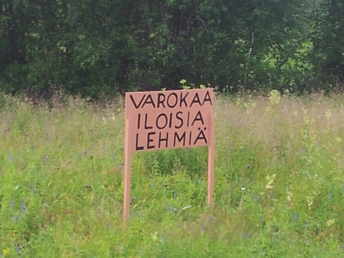 Akka_69's profile picture. Ihmettelevä ja utelias nainen. Introvertti extrovertin hommissa. Pöljä. Keski-ikäinen. Ei vakavasti otettava. https://t.co/lf92sNTOki