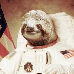 That's one small step for sloths, one giant leap for slothkind.