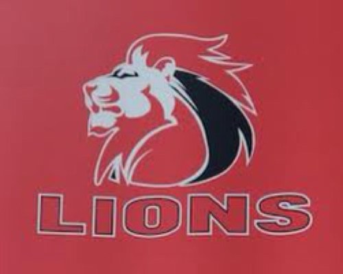 FOR TRUE LION SUPPORTERS - Unofficial account supporting Lions when it matters most. News, match updates, tributes. All rugby lovers welcome! Own views.