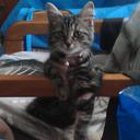 Sarah Eder - @Sarah3958 - Twitter