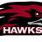 AthenaHawks's profile image