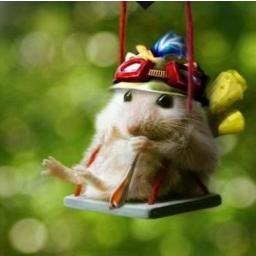 XrosBros's profile picture. The personal journey to a healthy lifestyle starts here !