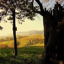 🖤💙 ⭐️⭐️a tempo pieno. alpino,ciclista,vinaio, 'borsaiolo' a tempo perso🇺🇦