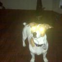 Mark Brooks - @browildcat - Twitter