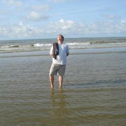 davmangels's profile picture. 