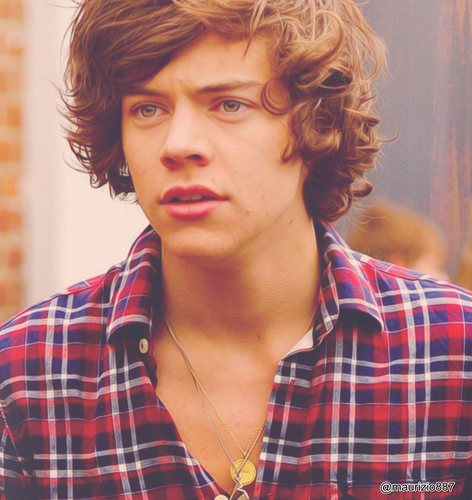 i'm a directioner I LOVE ONE DIRECTION ! Mainly niall horan , harry styles , Louis tomlinson , zayn malik and ...liam payne!!xx