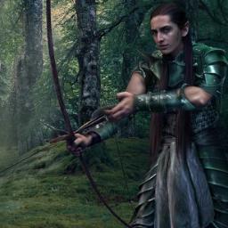 High-Elf. Son of Elrohir, son of Elrond. I have achieved mastery of both my bow, Stormsong and my blade, Lightwing. Let's hunt some orc! (RP)