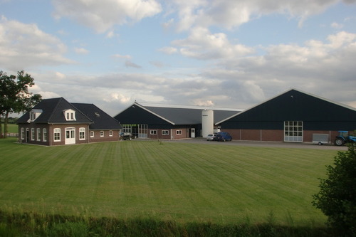 Melkvee & IJsboerderij