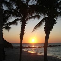 Preka (@preka2013) 's Twitter Profile