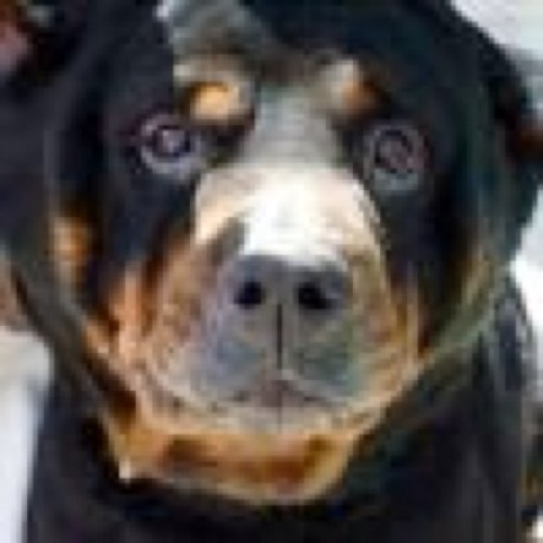 hec_edmaster's profile picture. 