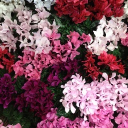 We're a full-service florist located in Pittsfield and Great Barrington, MA just through the doors of Guido's Fresh Marketplace! Creative, fun and we deliver!