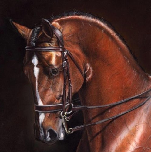 ppdressage's profile picture. Position Perfect gives riders a unique training experience. Combining classical training with sports science, helping riders discover their true potential.