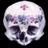 losdeltonos's profile image