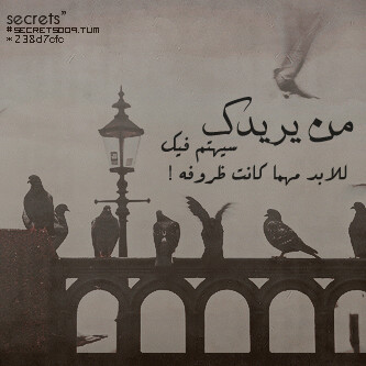 lyan65's profile picture. 