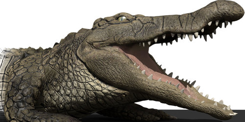 Ultimate_croc's profile picture. The ultimate croc anatomy. Watch a Nile crocodile being dissected and brought back to life in 3d!