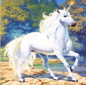 회사원, 등산과 여행을 좋아함.