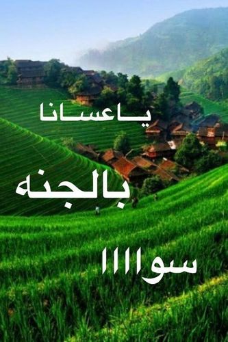 من عشاق و انصار أول نادي عالمي استثنائي ،(فارس نجد عميد العالميه نادي النصر)