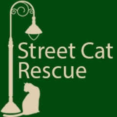 Trap/Neuter/Return of Feral/Stray Cats
Adoptions-Education. Sign up for our newsletter :  http://t.co/tDep7QuMUw