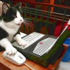 Katherine_said's profile picture. Editorial assistant @insidebayarea covering East Bay news, events, ephemera.