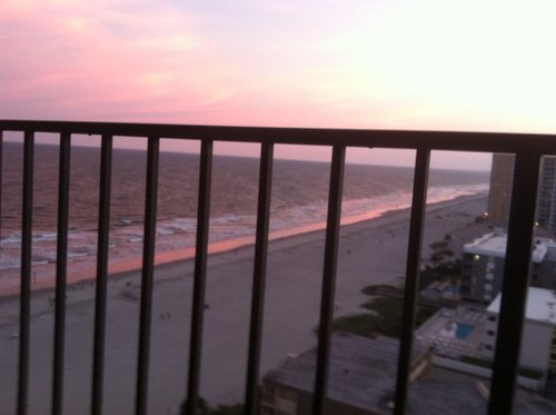 tomaxine's profile picture. 