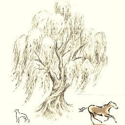 WillowFarms's profile picture. Willow Farms is an All Breed Canine/Equine Rescue Center.  We are located in Loxley, AL.  Please stop by to read our stories and meet our friends!