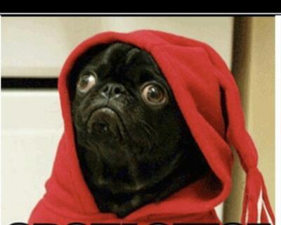 budro47's profile picture. 