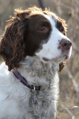 Deggoug's profile picture. 