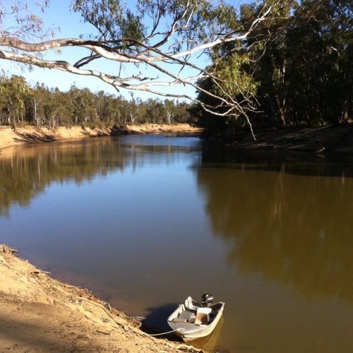 porkhunt78's profile picture. 