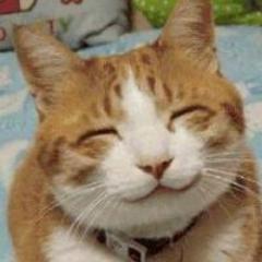 OpenBSD FreeBSD DragonflyBSD BSD Unix Linux