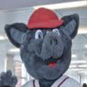 They did a re-design of the mascot. sound familiar? but not because of a lawsuit because #ironpigs liked the lama better. Now I roam the concourses *SPOOF ACCT*