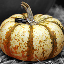 Brittney McDaniel - @BPretty4me - Twitter