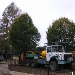 I used to be a Tree Climber, middle age caught up with me and I now move trees and hedges for Ruskins, with a range of Tree Spades