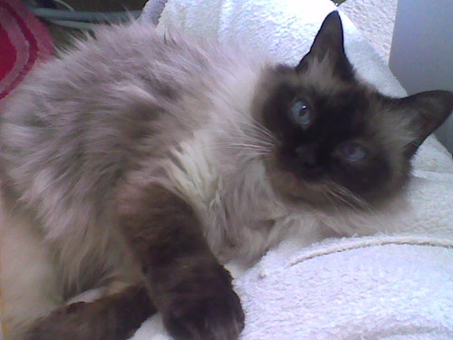 palau0's profile picture. 