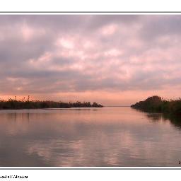 eledeyge's profile picture. empleado público.