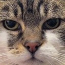 Tabitha Sheppard - @TabsSheppard - Twitter