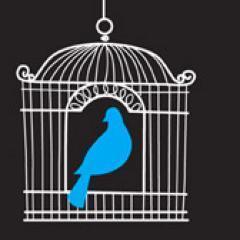 Passion for Vintage Home wares - Collectables & New. Feather your nest and make it beautiful! Devonian in Newcastle