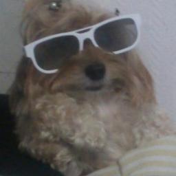 raphael_simao's profile picture. hard to explain