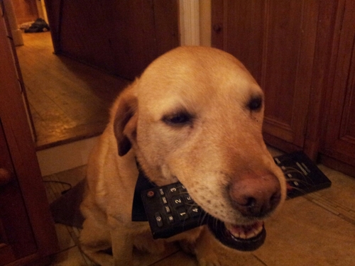 MsScatty's profile picture. 