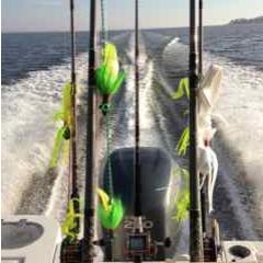 Freelance front-end web developer, microbrew enthusiast, fisherman and Marylander.