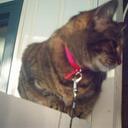 daniel masse - @laclipperrepair - Twitter