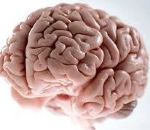 Remeber that funny and clever tweet you thought of earlier today? Lol me neither. Tweet @ me if you have a good scumbag brain tweet. You may get a RT