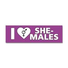 amo a las shemales, son mucho mas de lo que esperas de una mujer // I love the shemales, they are much more than what you expect from a woman