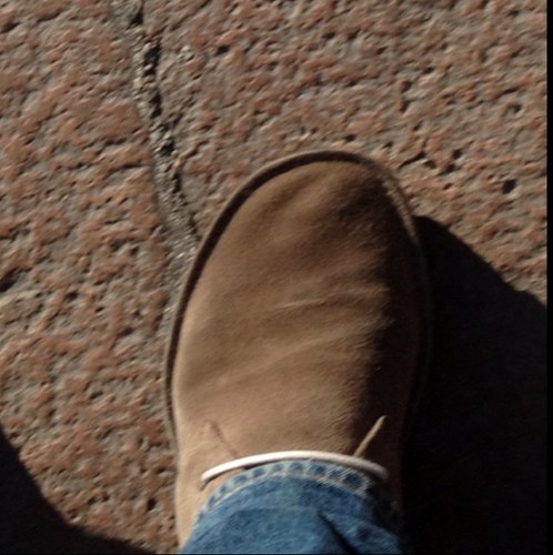 jankry's profile picture. 