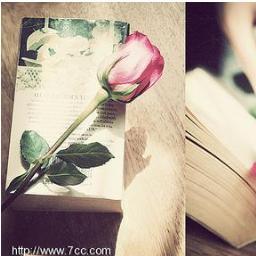 اعمل بجد وبصمت ،دع نجاحك يُحدث ضجه🥀
