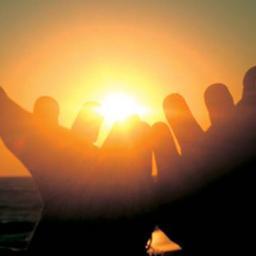 opportunita66's profile picture. 