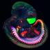 Monash Micro Imaging (@mmi_clayton) Twitter profile photo Monash Micro Imaging (@mmi_clayton) Twitter profile photo
