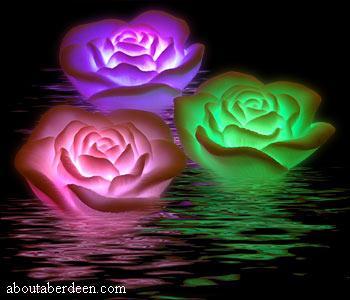 Bireen541763856's profile picture. بلغ-ي  بيرين بطلبك وإطمن-ي لوصوله